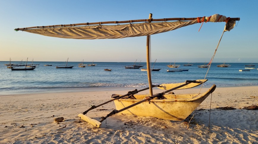Les bois flottés de Nungwi