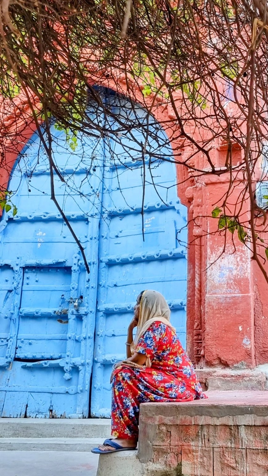 La couleur des murs de Jodhpur