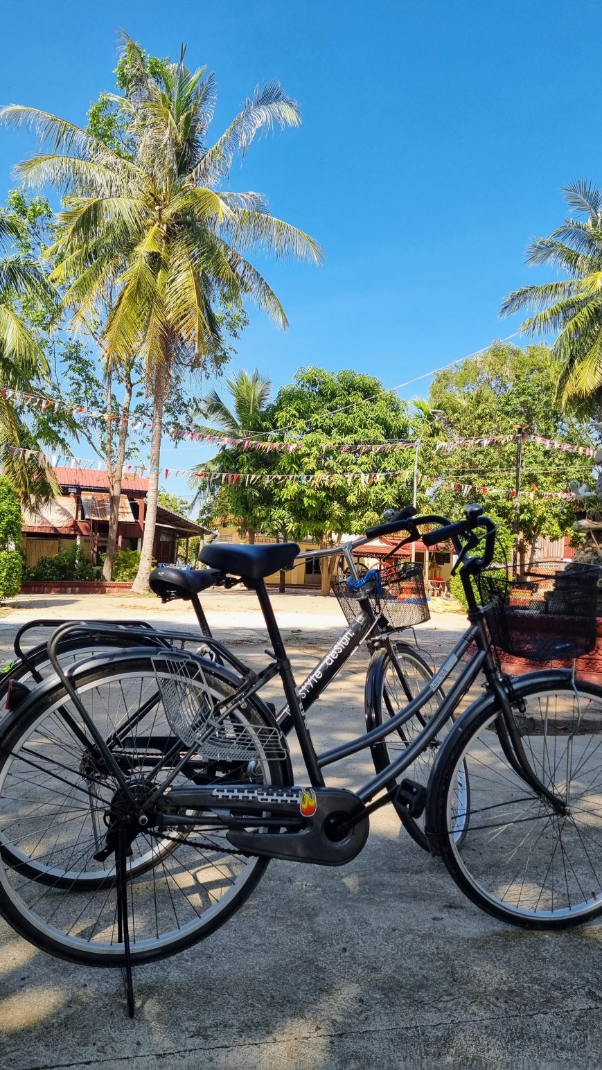 Des bicyclettes à l’est du Mékong