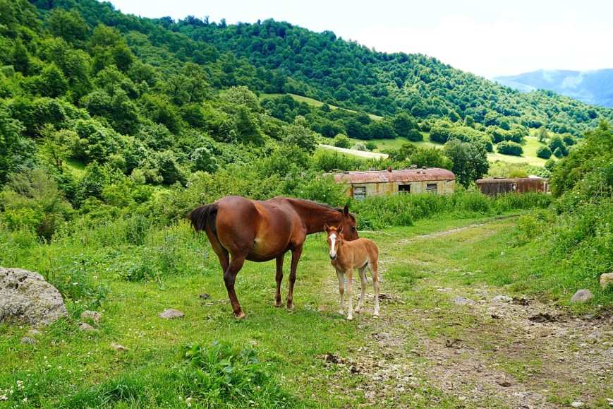 Un Caucase si discret